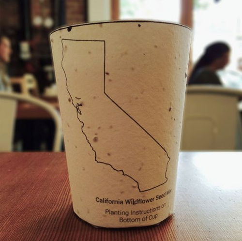 可食用塑料杯 環(huán)保與科技的革命性突破