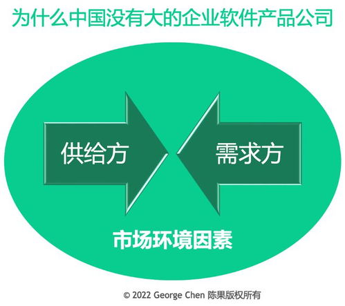 為何中國(guó)企業(yè)軟件市場(chǎng)未現(xiàn)巨頭？探析背后的多重因素